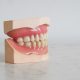 endodontist vs periodontist